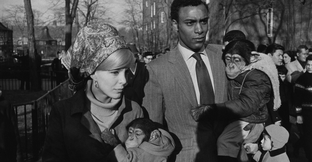 The Animals and Their Keepers: Garry Winogrand and Photography After September 11th