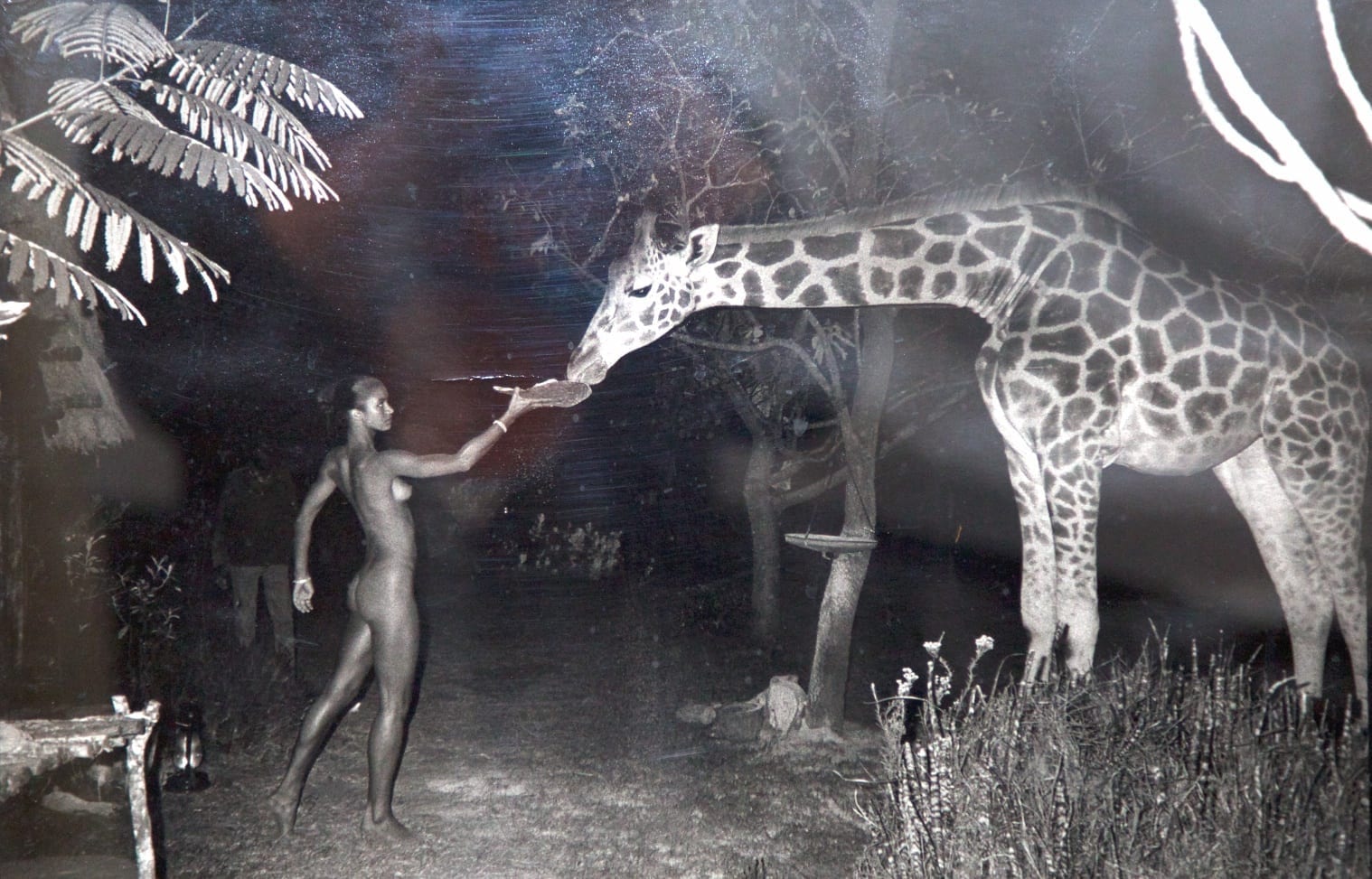 Peter Beard - Beyond Gauguin, Night Giraffe Feeding at 