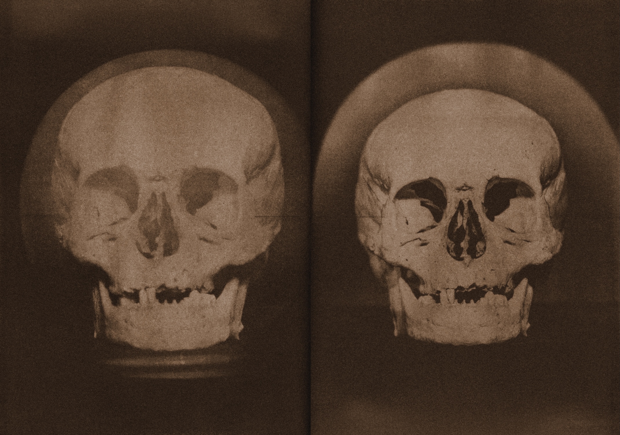 アート・デザイン・音楽 Wysocka & Pogo / DEAD PAGES NO.3 BRAVO