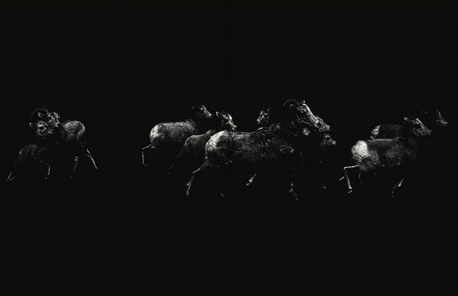 Robert Leblanc Tin Lizards